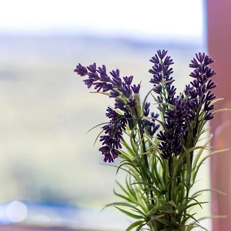 Appartement Aqua-juric Crikvenica